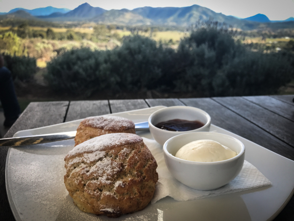 lavender scones at winery