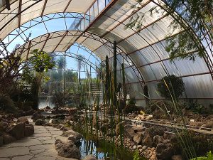 Botanical Gardens Glasshouse SMA