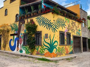 Mural covering whole house